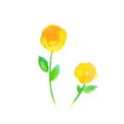 はっぴーの画像