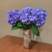 CHAMの画像