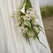 さきちゃすの画像