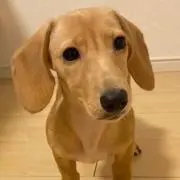㌧㌧㌧㌧プランク㌧