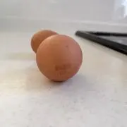 とらびすの画像