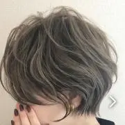ニコの画像