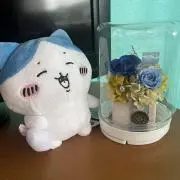 七