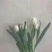 アンナ