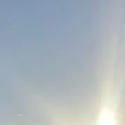 9の画像