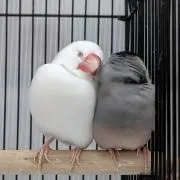 ゆみの画像