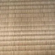 たろうの画像