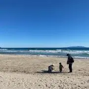 やすの画像
