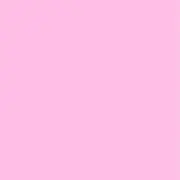 クマの画像