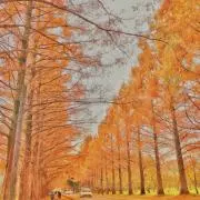 うーぽんの画像