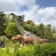 Pの画像
