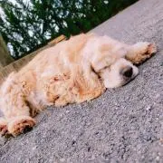 RELAX ☆即購入OK☆の画像