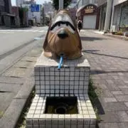 むーの画像
