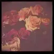 S  【プロフ必読】の画像