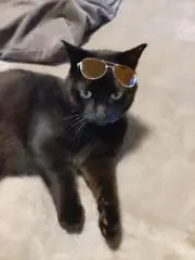 G★Dの画像
