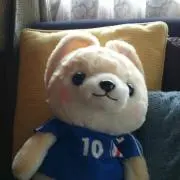 ひよこまな