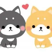 ☆リピ割☆即日発送の画像