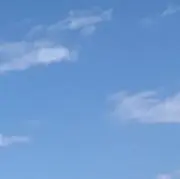 u.の画像