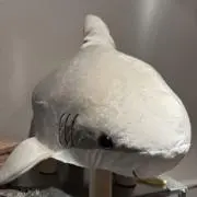 カエデ