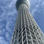 トシ※プロフィール読んでくださいの画像