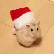 はやママ