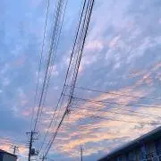 みい。  即購入可◎値下げ交渉可◎の画像