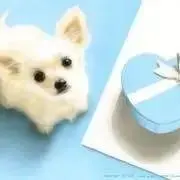 な〜さんの画像