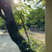 うっちーの画像