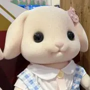 ゆみの画像