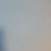 パンダの画像