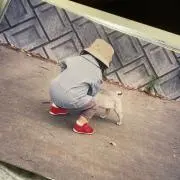 すう