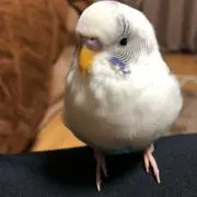 ちゃんみ♪(´ε｀ )