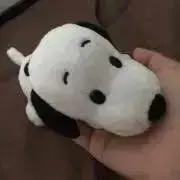 りーにゃの画像