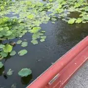 うえいんの画像