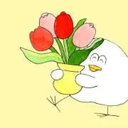 ほたての画像