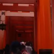 そーたの画像