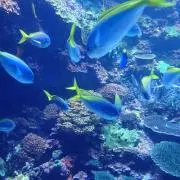 とのねの画像