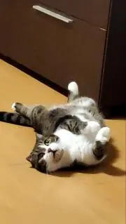 STORY6622の画像