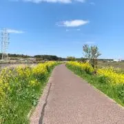 Ree