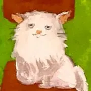 kosaの画像
