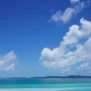 みきの画像