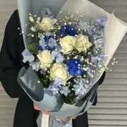 あお18の画像