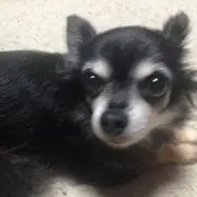 TKS２の画像