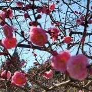 へちま☆プロフご一読くださいの画像