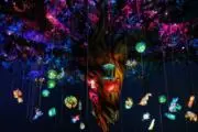 Mela verdeの画像