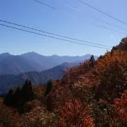 よしだの画像