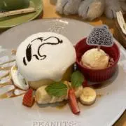 わんころの画像