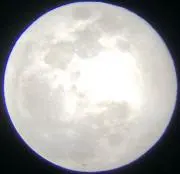 Muramasaの画像