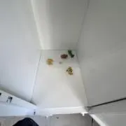 断捨離バチコリ