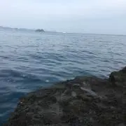 ゆ